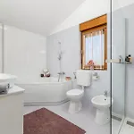 Matis * Sarići